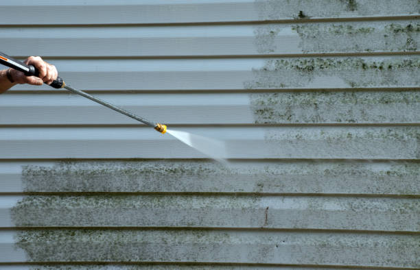 Best House Pressure Washing  in Danbury, TX